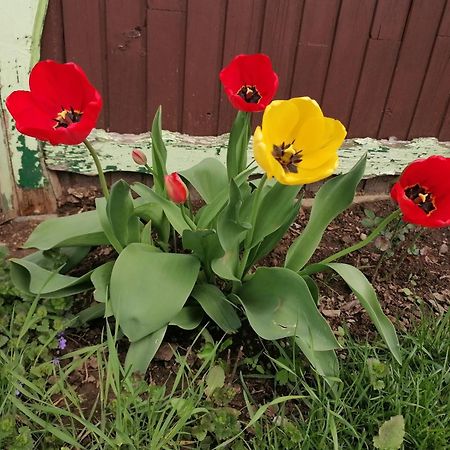Villa SlavinaDomacija Malnarjevi别墅 外观 照片