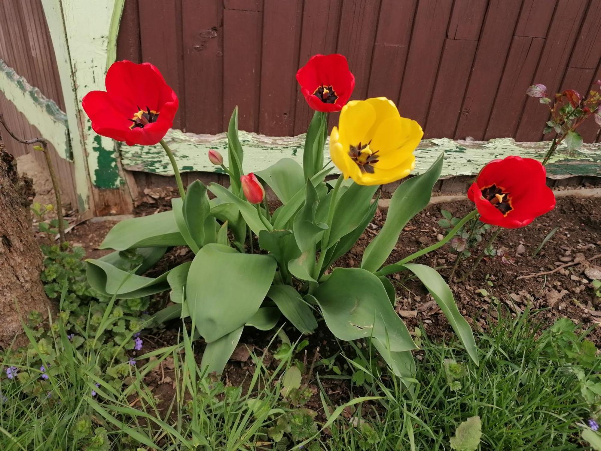 Villa SlavinaDomacija Malnarjevi别墅 外观 照片